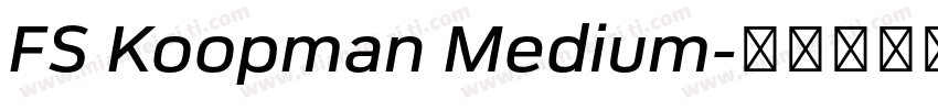 FS Koopman Medium字体转换